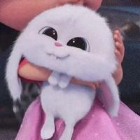bethohaycuoi