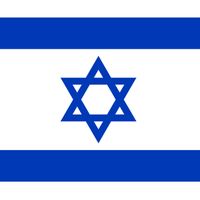 love.idf.and.israel