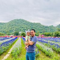 เสียงต้นฉบับ - เอ็ม