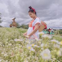 koeekogai
