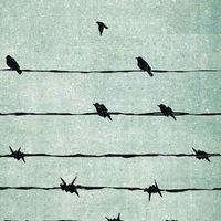 เสียงต้นฉบับ - resolusi