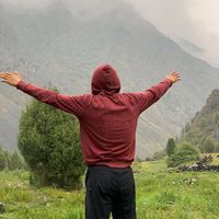 оригинальный звук