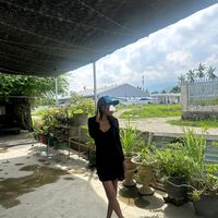 suara asli