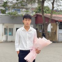 nhạc nền - Nô trouring 👤