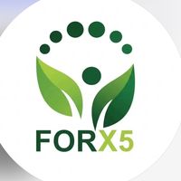forx5azerbajann_gulu