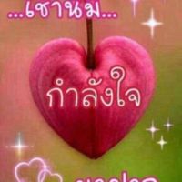 thongkkk3