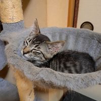 オリジナル楽曲 - ケイchan @音楽