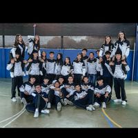 prom_lithium.m