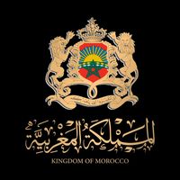 lionofmorocco4