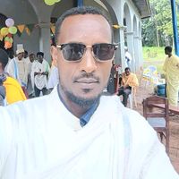 d.tamirat.abebe