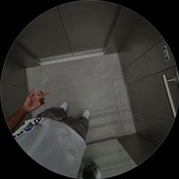 original sound