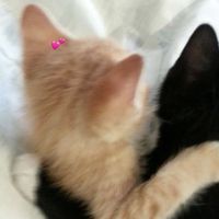 original sound - #1 filmnamtan  ᡣ𐭩ྀིྀི