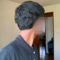 ._haan77