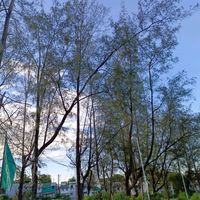 original sound - BINI BABY :):) 8