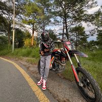 gyroisdeadguys