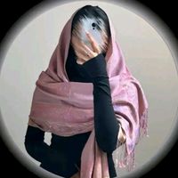 nour_sheghri_