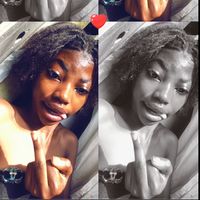 242_danie