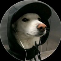 joaoofficial6