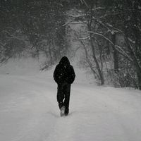 الصوت الأصلي