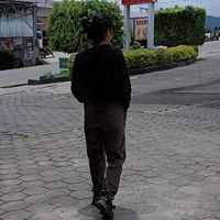 lisgv01
