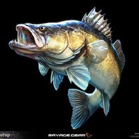 suara asli - Sukamenabung