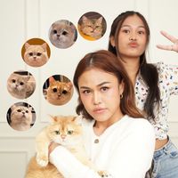 เสียงต้นฉบับ - The honey catt