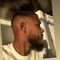 sne_vin1