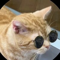 アップロード楽曲