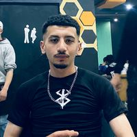 alouifawzi