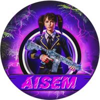 aisem2427