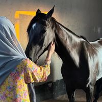 asayel966