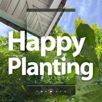 เสียงต้นฉบับ - HappyPlanting