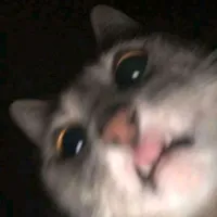 7 years latch sped up