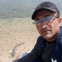 iltifathesenov0202