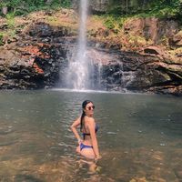 diasamandaam