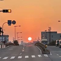 toyota1105