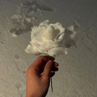 原聲 - 1212
