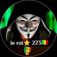 leroi223m1