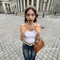 daemsi