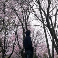 오리지널 사운드 - 樂友