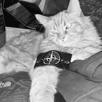 original sound - unknown.skin0