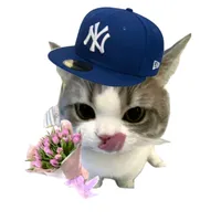 เจอเจ้าสาว