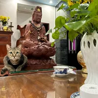 original sound - moclanbinhduongcity