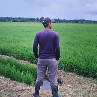 lelaki_tak_bercerite