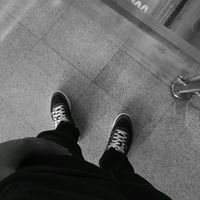 yovngsin.pty