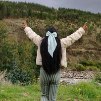 elvymayo