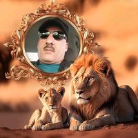 الصوت الأصلي