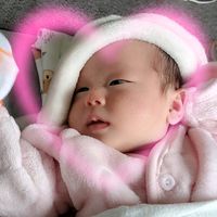 yangdey_25