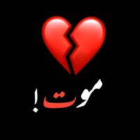 seemahusain07