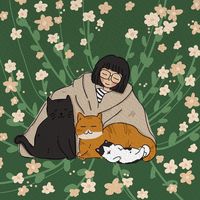 la_petite_lapine